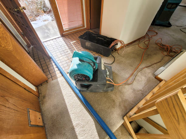 Best Flood restoration services  in Rome, IL
