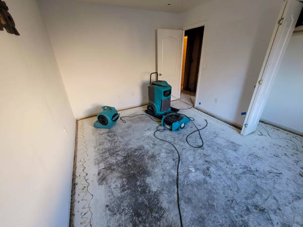 Best Professional water damage repair  in Rome, IL