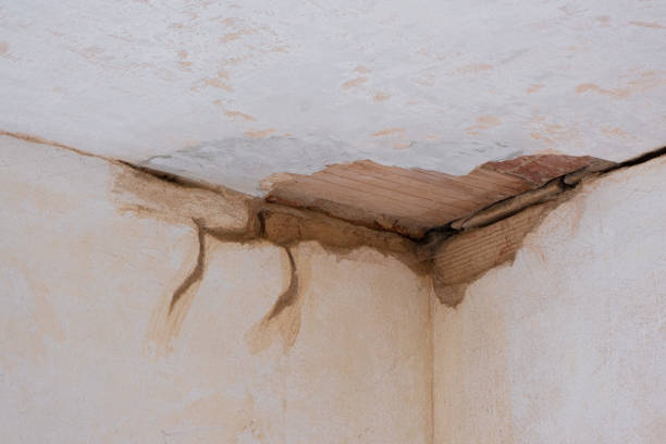 Best Water damage restoration near me  in Rome, IL