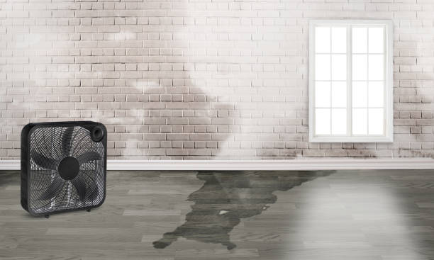 Best Emergency water damage restoration  in Rome, IL