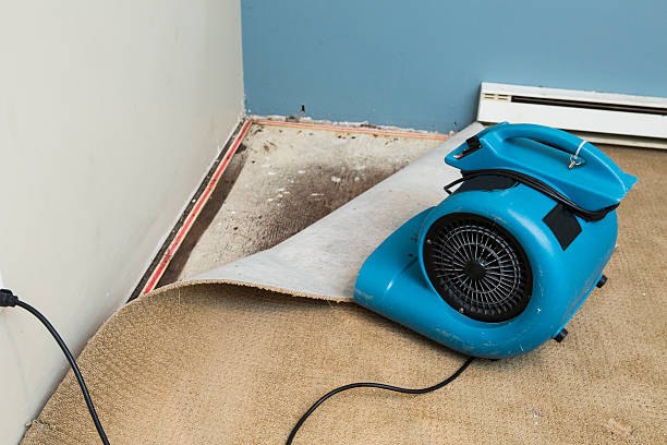 Fire Damage Restoration in Rome, IL