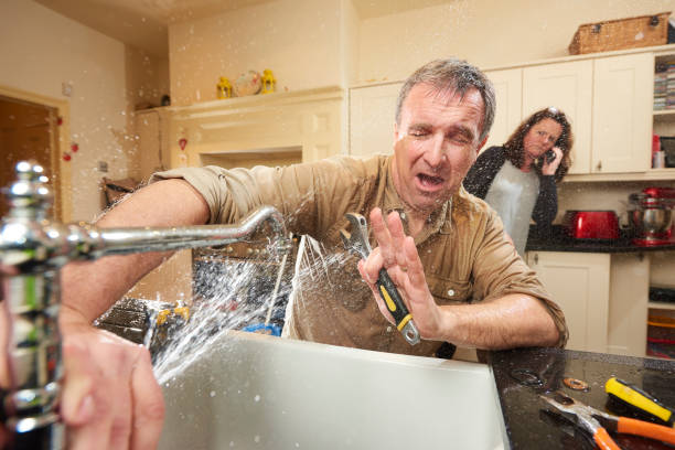 Best Sewage cleanup and water damage restoration  in Rome, IL